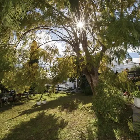 San Salvador נרחה